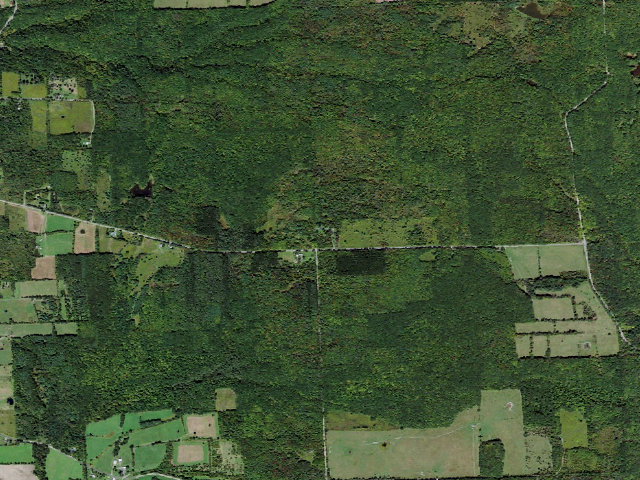 Aerial image of Backbone Horse Camp