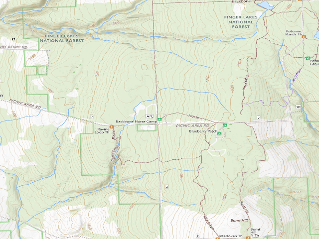 USGS topographic map of Backbone Horse Camp