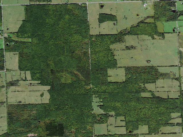 Aerial image of Backbone Horse Campground
