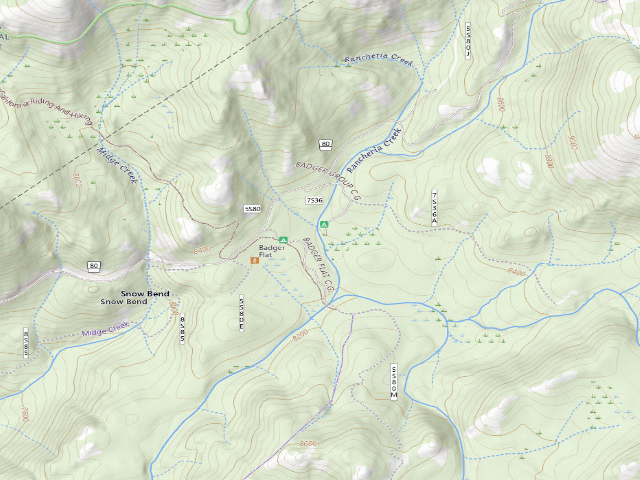 USGS topographic map of Badger Flat