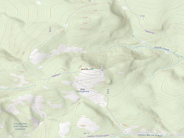 USGS topographic map of Bald Butte Lookout