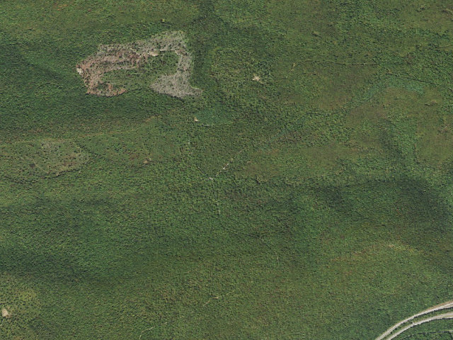 Aerial image of Bald Eagle State Forest roadside campsite 001 Mile Run Road
