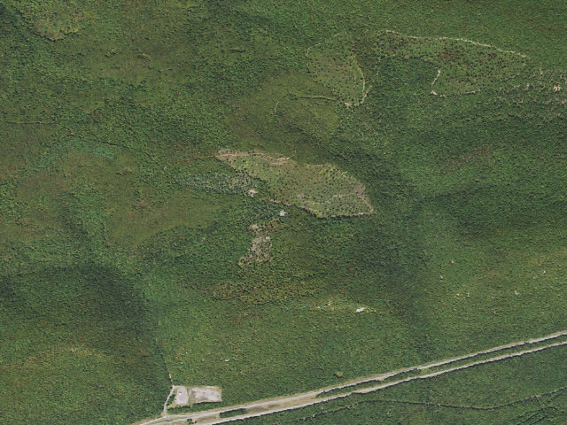 Aerial image of Bald Eagle State Forest roadside campsite 002 Mile Run Road