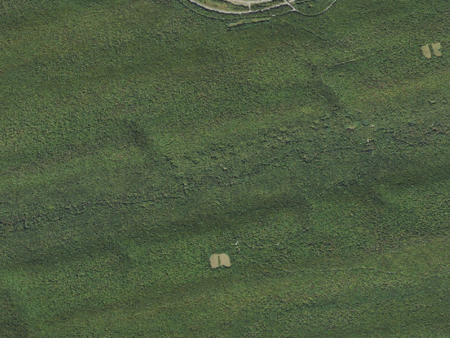 Aerial image of Bald Eagle State Forest roadside campsite 003 White Deer Creek Road