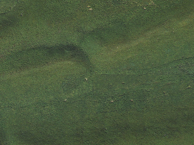 Aerial image of Bald Eagle State Forest roadside campsite 004 Spruce Run Road