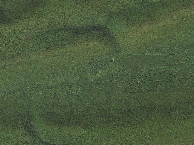 Aerial image of Bald Eagle State Forest roadside campsite 005 Spruce Run Road