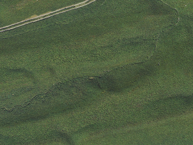 Aerial image of Bald Eagle State Forest roadside campsite 006 White Deer Creek Road