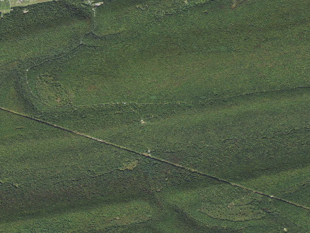 Aerial image of Bald Eagle State Forest roadside campsite 007 Engle Road