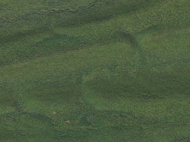 Aerial image of Bald Eagle State Forest roadside campsite 008 Spruce Run Road