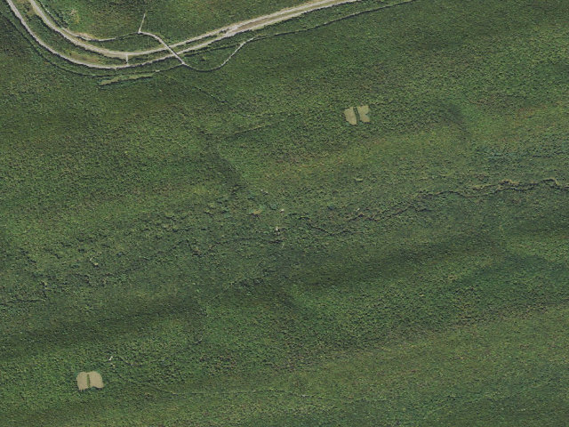 Aerial image of Bald Eagle State Forest roadside campsite 009 Cooper Mill Road