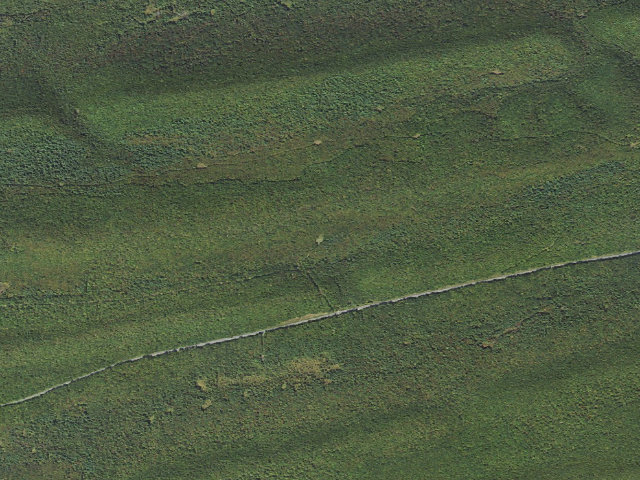 Aerial image of Bald Eagle State Forest roadside campsite 012 McCall Field Road