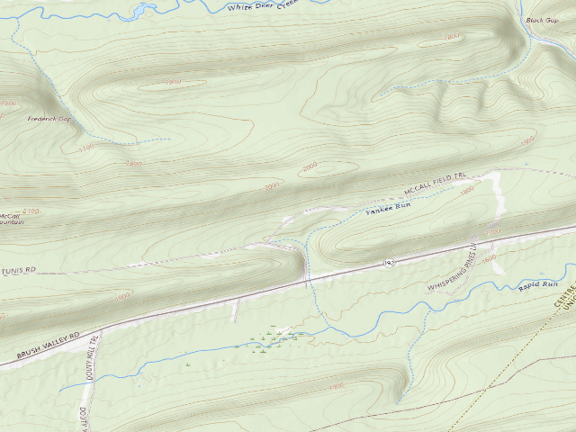 USGS topographic map of Bald Eagle State Forest roadside campsite 012 McCall Field Road