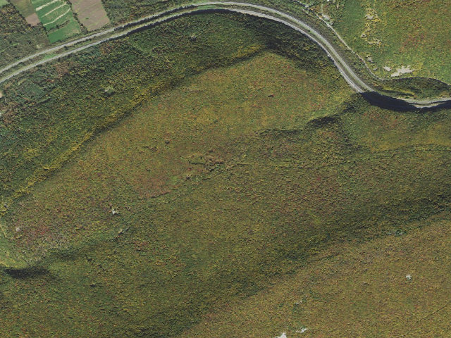 Aerial image of Bald Eagle State Forest roadside campsite 014 Rag Valley Road