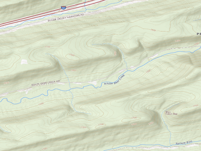 USGS topographic map of Bald Eagle State Forest roadside campsite 015 White Deer Creek Road
