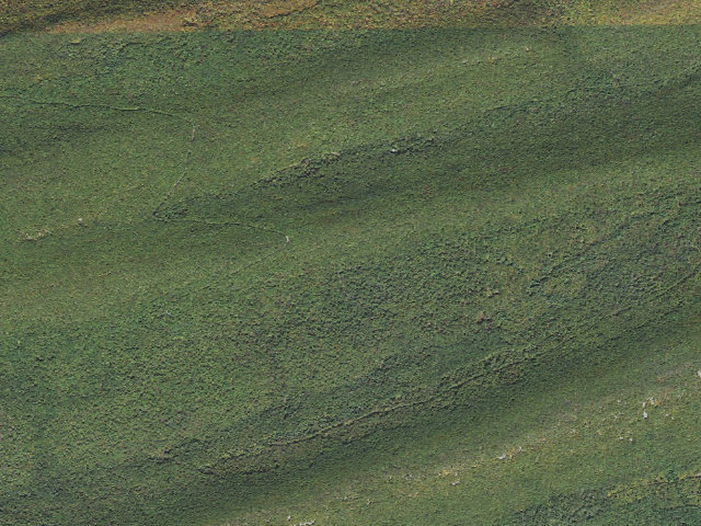 Aerial image of Bald Eagle State Forest roadside campsite 022 Paddy Mountain Road