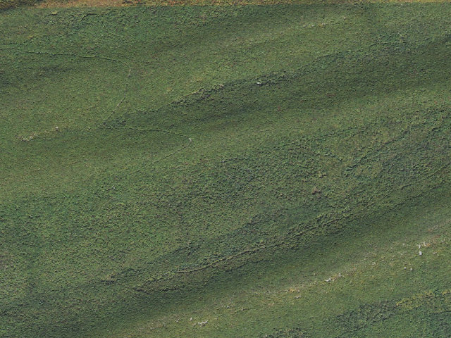 Aerial image of Bald Eagle State Forest roadside campsite 023 Paddy Mountain Road
