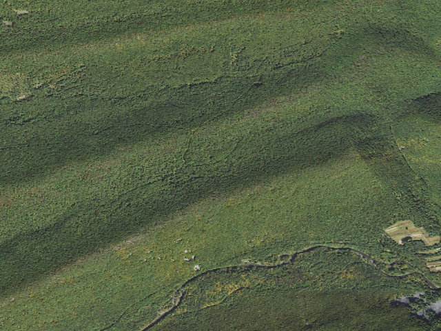 Aerial image of Bald Eagle State Forest roadside campsite 024 Old Mingle Road