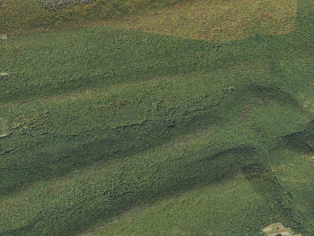 Aerial image of Bald Eagle State Forest roadside campsite 027 Lick Hollow Road