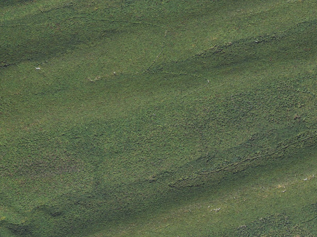 Aerial image of Bald Eagle State Forest roadside campsite 028 Paddy Mountain Road