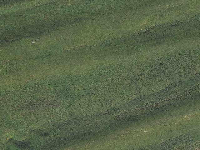 Aerial image of Bald Eagle State Forest roadside campsite 029 Cherry Run Road