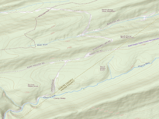 USGS topographic map of Bald Eagle State Forest roadside campsite 029 Cherry Run Road