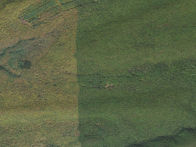 Aerial image of Bald Eagle State Forest roadside campsite 030 Stony Run Road