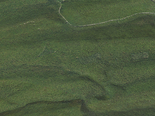 Aerial image of Bald Eagle State Forest roadside campsite 031 Jones Mountain Road
