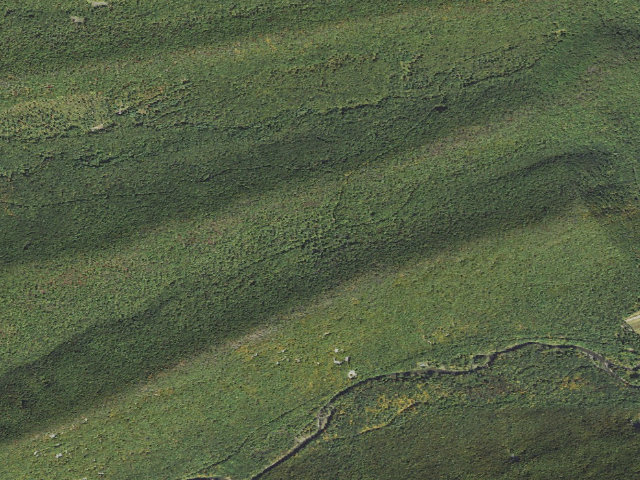 Aerial image of Bald Eagle State Forest roadside campsite 032 Old Mingle Road