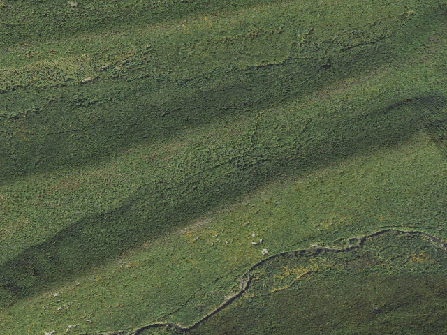 Aerial image of Bald Eagle State Forest roadside campsite 033 Old Mingle Road