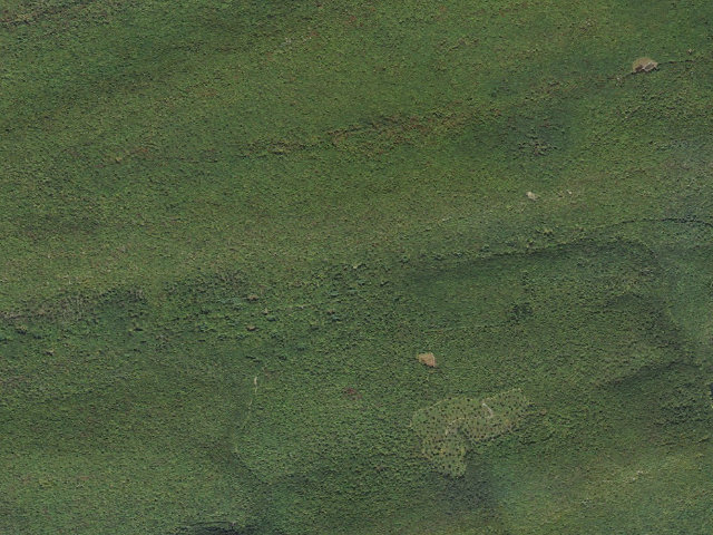 Aerial image of Bald Eagle State Forest roadside campsite 034 Buffalo Flat  Road