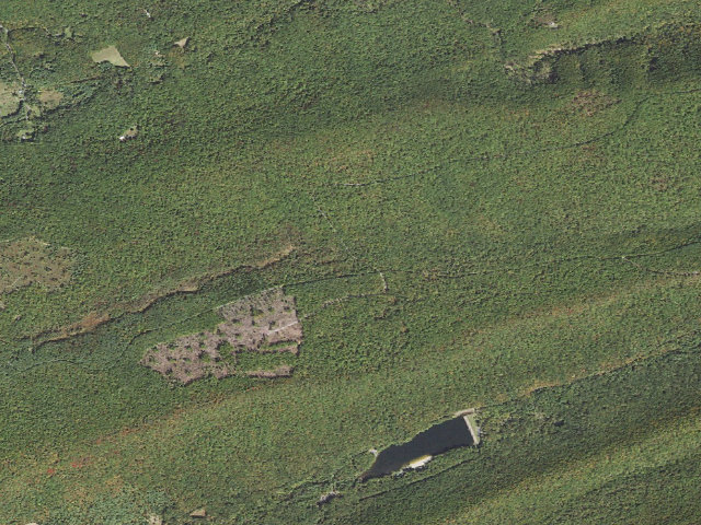 Aerial image of Bald Eagle State Forest roadside campsite 041 Poe Paddy Drive