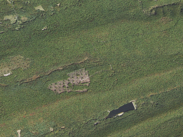 Aerial image of Bald Eagle State Forest roadside campsite 042 Pine Swamp Road