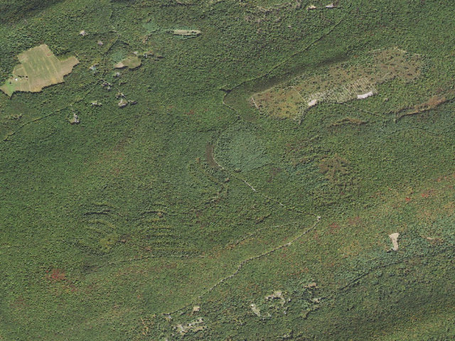 Aerial image of Bald Eagle State Forest roadside campsite 044 Siglerville Millheim Pike