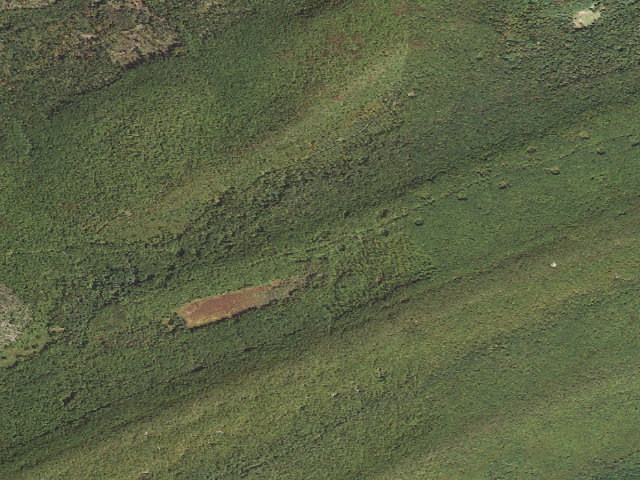 Aerial image of Bald Eagle State Forest roadside campsite 045 Sand Mountain Road