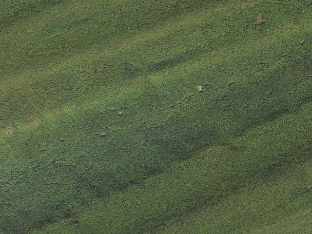 Aerial image of Bald Eagle State Forest roadside campsite 046 Treaster Valley Road