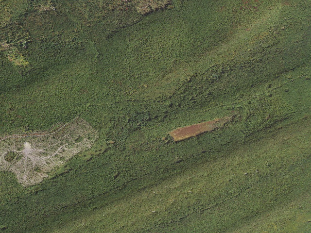 Aerial image of Bald Eagle State Forest roadside campsite 048 Sand Mountain Road