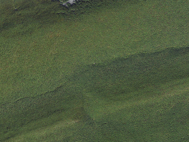 Aerial image of Bald Eagle State Forest roadside campsite 061 Hoofnagle Road