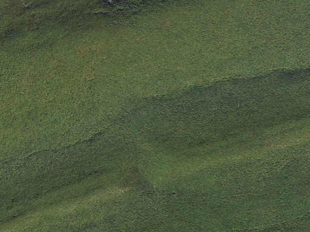 Aerial image of Bald Eagle State Forest roadside campsite 062 Hoofnagle Road