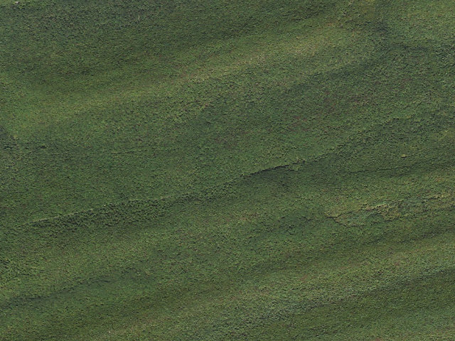 Aerial image of Bald Eagle State Forest roadside campsite 063 Hoofnagle Road