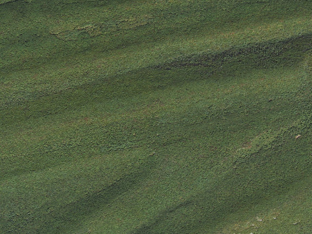 Aerial image of Bald Eagle State Forest roadside campsite 064 Tower Road
