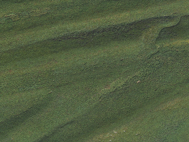 Aerial image of Bald Eagle State Forest roadside campsite 065 Swift Run Road