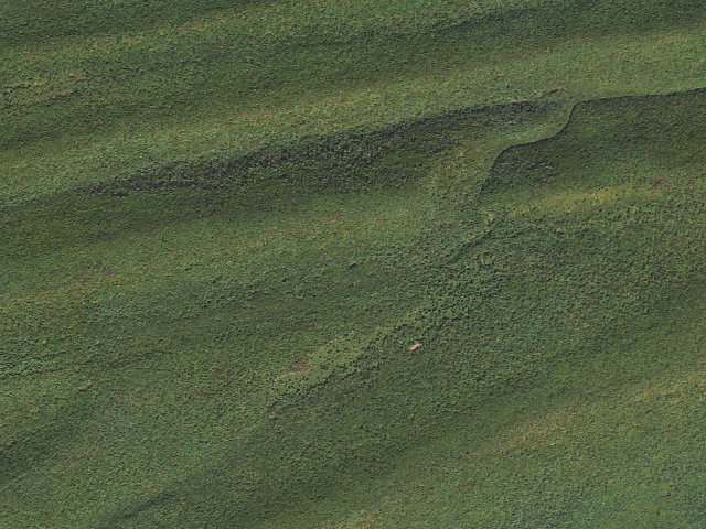 Aerial image of Bald Eagle State Forest roadside campsite 066 Swift Run Road