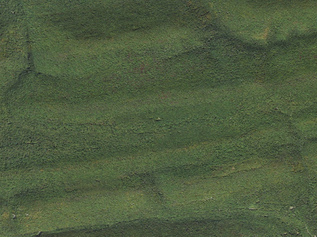 Aerial image of Bald Eagle State Forest roadside campsite 069 Hunter Road