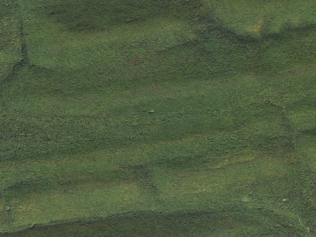 Aerial image of Bald Eagle State Forest roadside campsite 070 Hunter Road