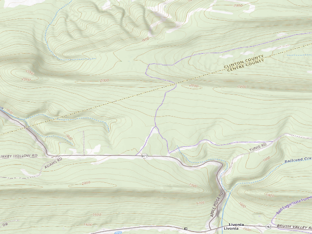 USGS topographic map of Bald Eagle State Forest roadside campsite 071 Hall Mountain group camping area