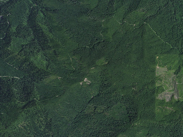 Aerial image of Bald Knob Lookout