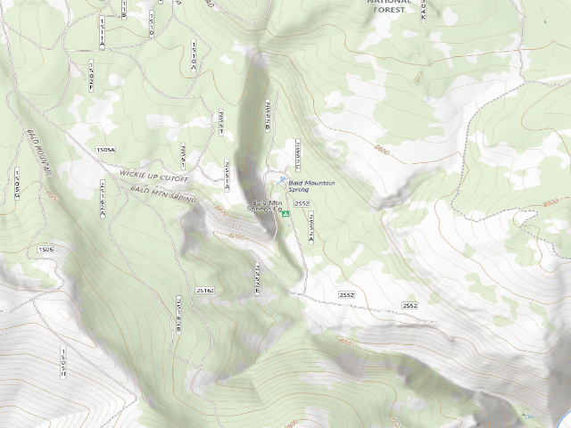 USGS topographic map of Bald Mountain Springs Cg