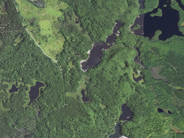 Aerial image of Baldy Lake Camping Area