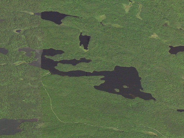 Aerial image of Ball Club Lake Site 1