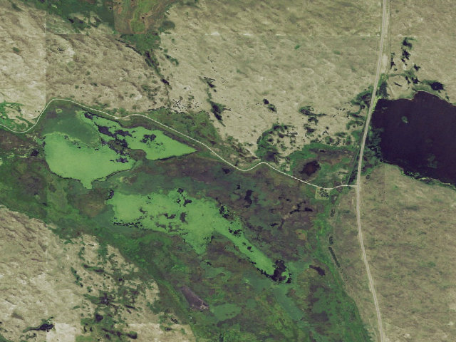 Aerial image of Ballards Marsh WMA